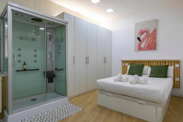 Charming Vistillas - Apartament Madryt